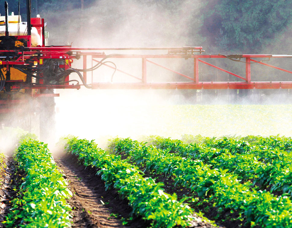 Preservative and Pesticides Testing