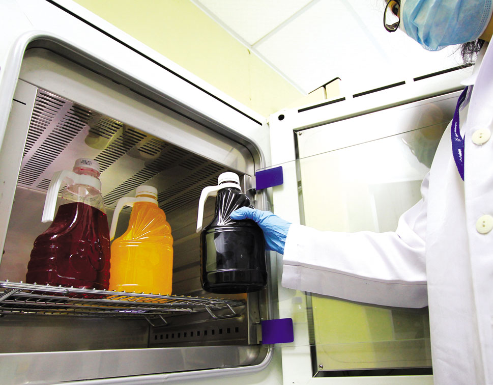 Shelf Life Study - Frozen & Non-Frozen Food