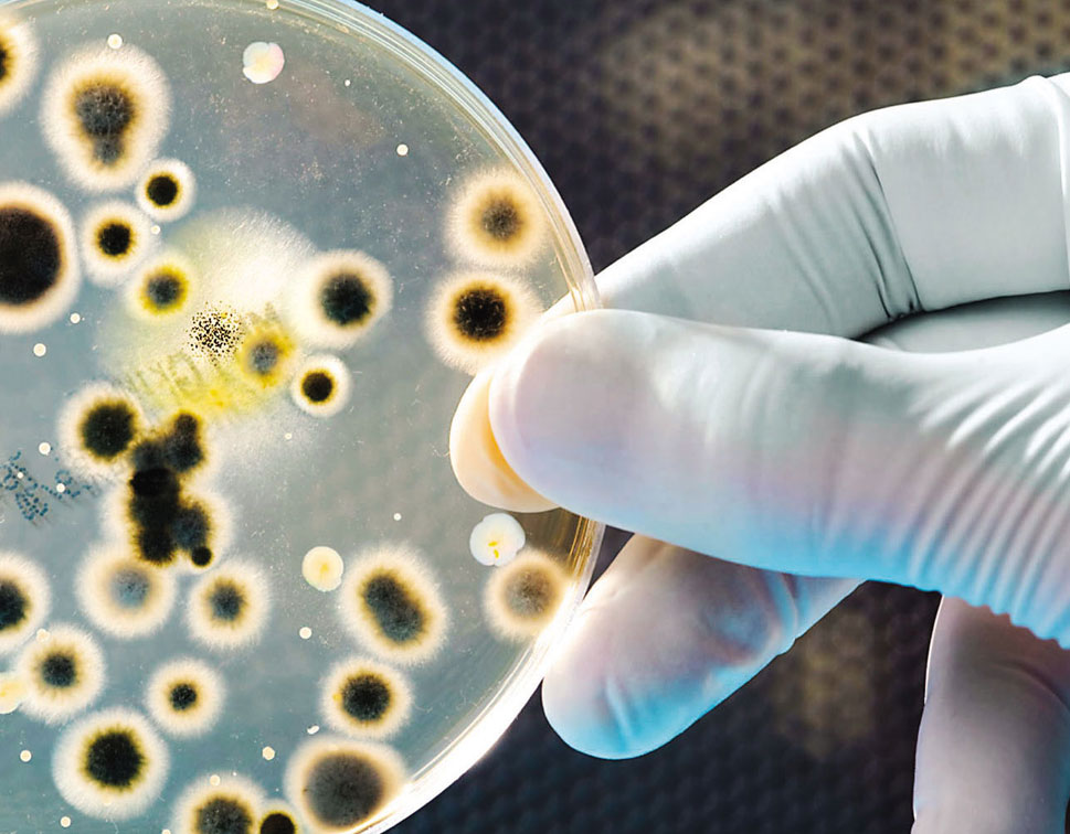 Microbiological Testing