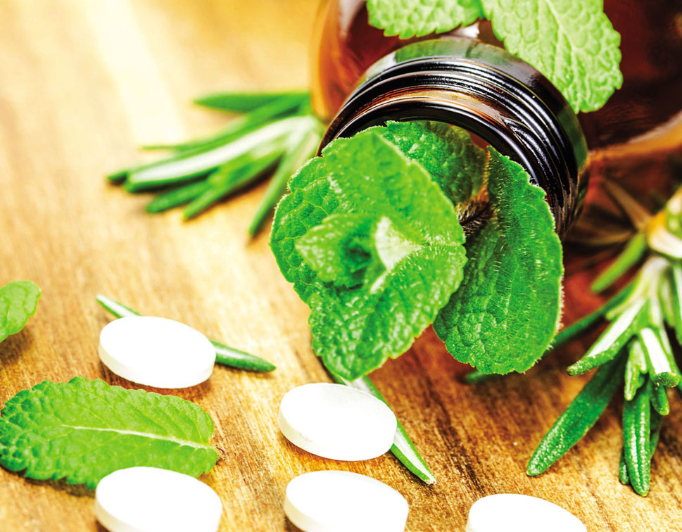 Pharmaceutical & Traditional Herbs Testing